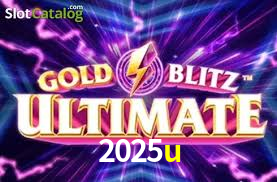 Programa VIP 2025u